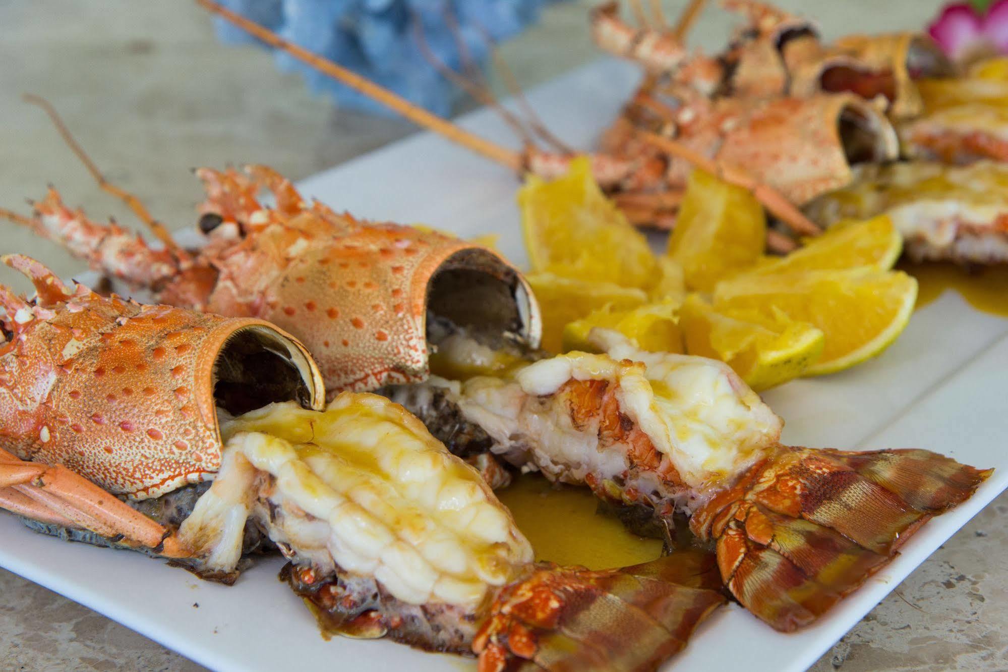 Pousada Jirituba Barra de Santo Antônio 外观 照片