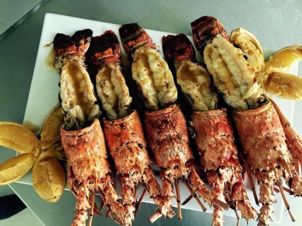 Pousada Jirituba Barra de Santo Antônio 外观 照片